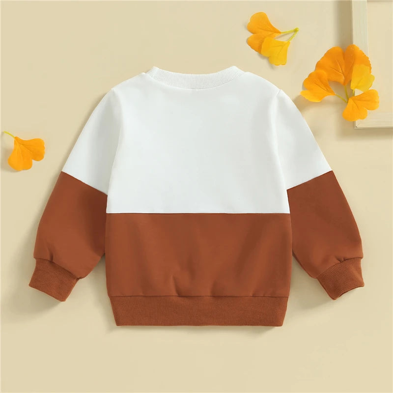 Two Colors Pullover